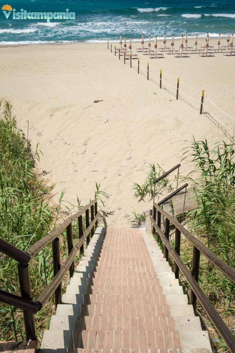 spiaggia delle saline palinuro 00017 768x1152