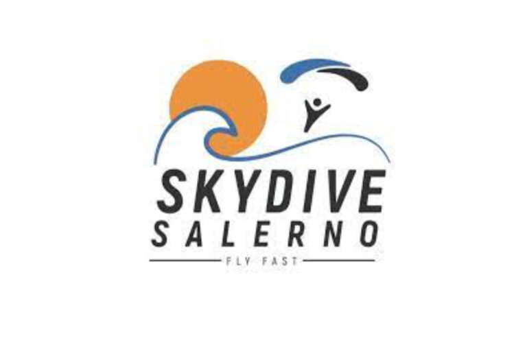 logo skydrive grande 768x496